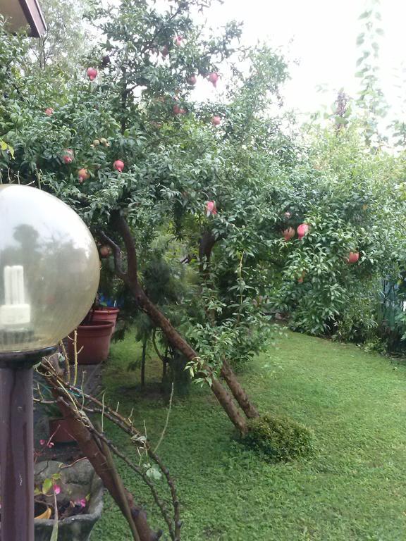 Casa Irene Bed & Breakfast Тори ди Куартезоло Екстериор снимка