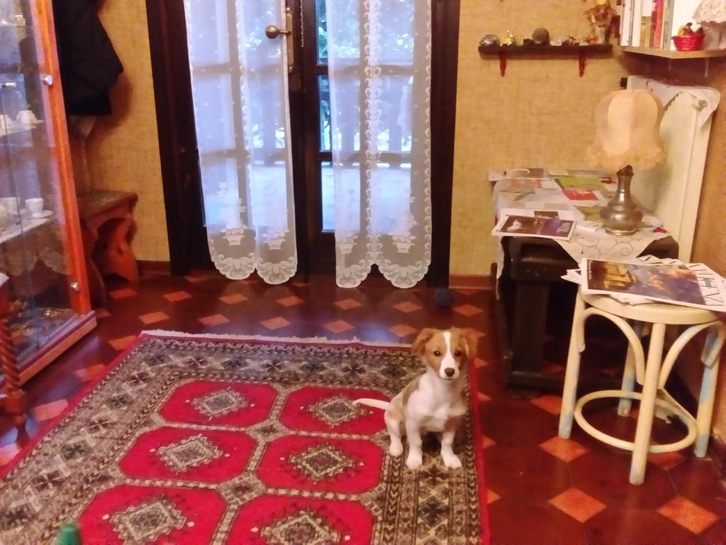Casa Irene Bed & Breakfast Тори ди Куартезоло Екстериор снимка
