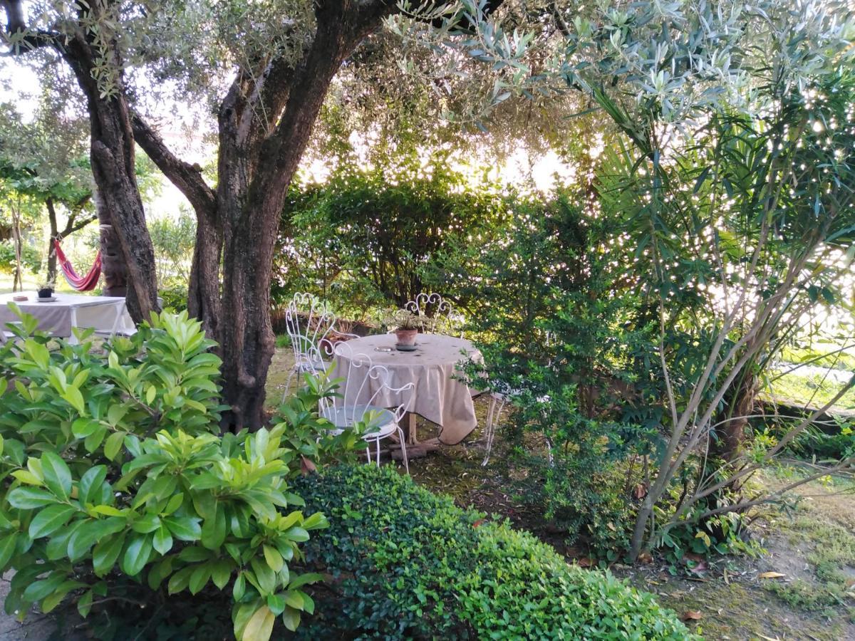 Casa Irene Bed & Breakfast Тори ди Куартезоло Екстериор снимка